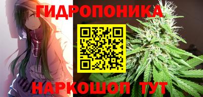 гидропоника Заводоуковск