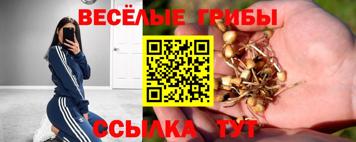 Псилоцибиновые грибы Psilocybe  Вход с VPN  Псилоцибиновые грибы Cubensis  Воркута 